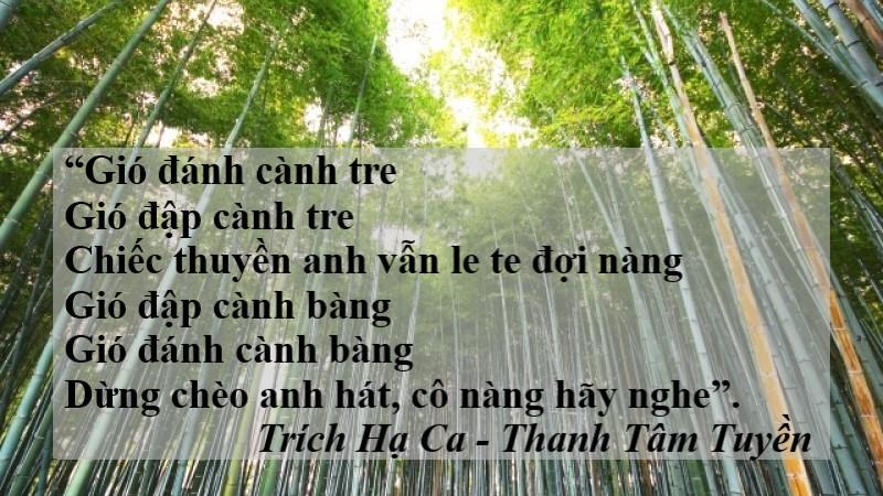the-tho-pho-bien thể thơ phổ biến