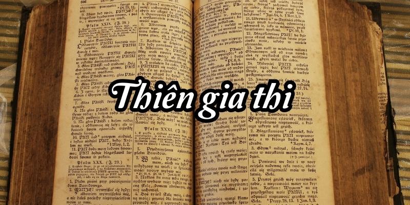 Thiên gia thi (Hồ Chí Minh)