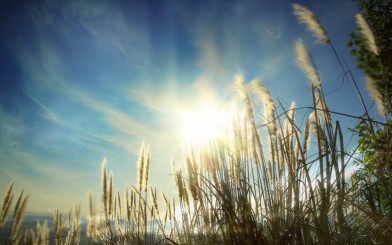 tho-4-chu-ve-nang Thơ 4 chữ về nắng