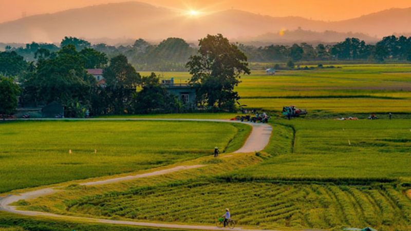 tho-5-chu-hay-nhat thơ 5 chữ hay nhất