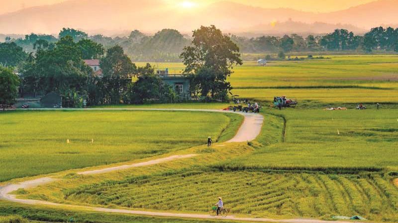 tho-8-chu-1 thơ 8 chữ