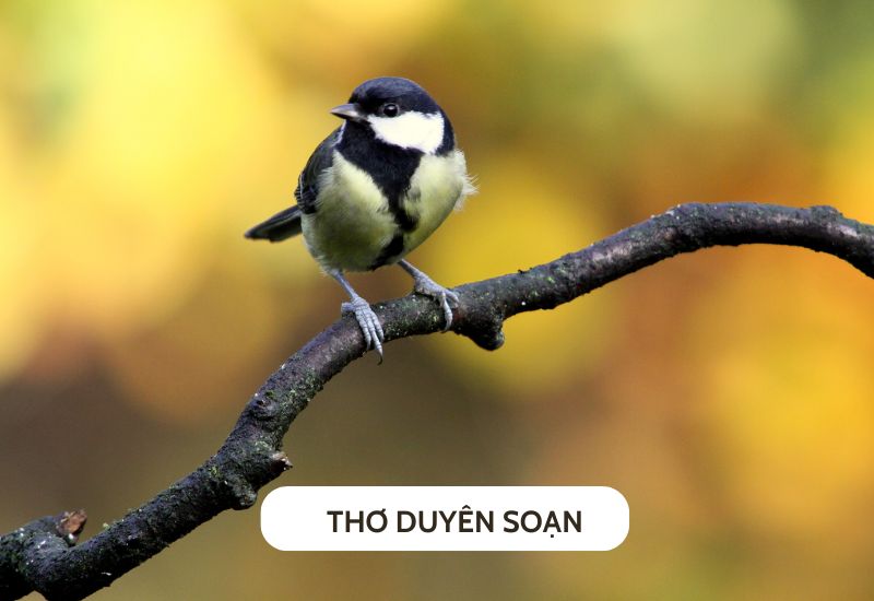 tho-duyen-soan thơ duyên soạn