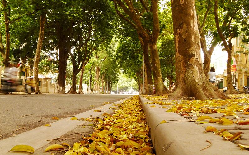 tho-hay-thang-8 Thơ hay tháng 8