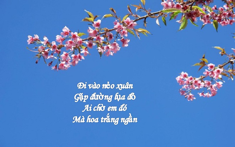 tho-hay-ve-mua-xuan Thơ hay về mùa xuân