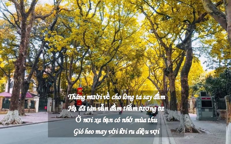 tho-hay-ve-thang-10 Thơ hay về tháng 10