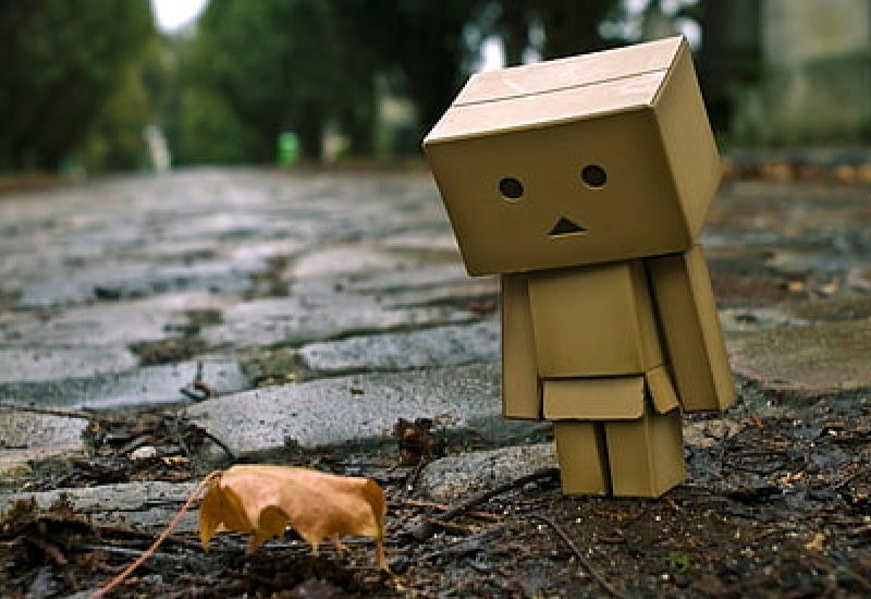 tho-lien-quan-den-so-phan-ngan-ngui thơ liên quan đến số phận ngắn ngủi