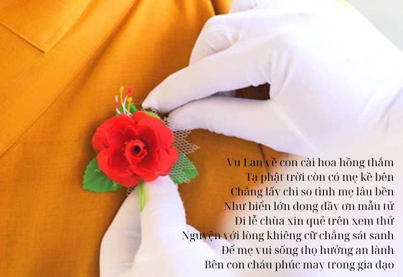 tho-luc-bat-bao-hieu thơ lục bát báo hiếu