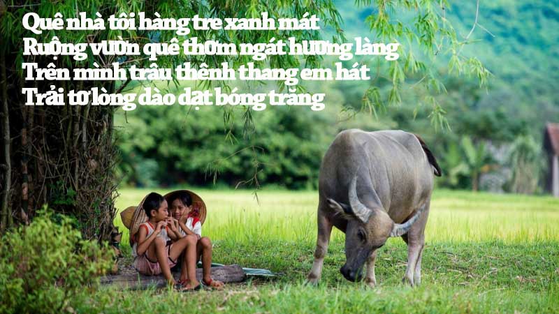 tho-que-huong thơ quê hương