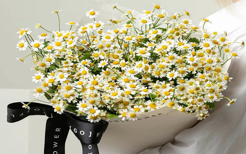 tho-tha-thinh-con-trai-ten-huyen Thơ thả thính con trai tên Huyền