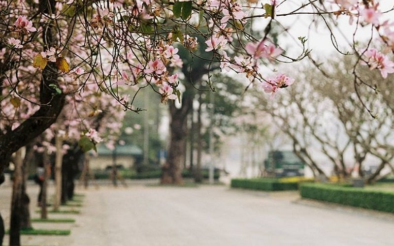 tho-thang-2-1 Thơ tháng 2