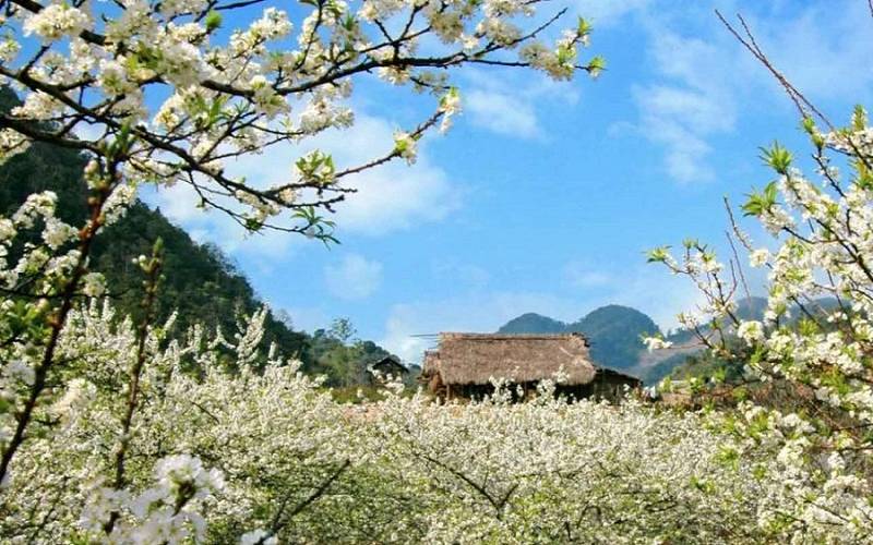 tho-thang-hai Thơ tháng 2