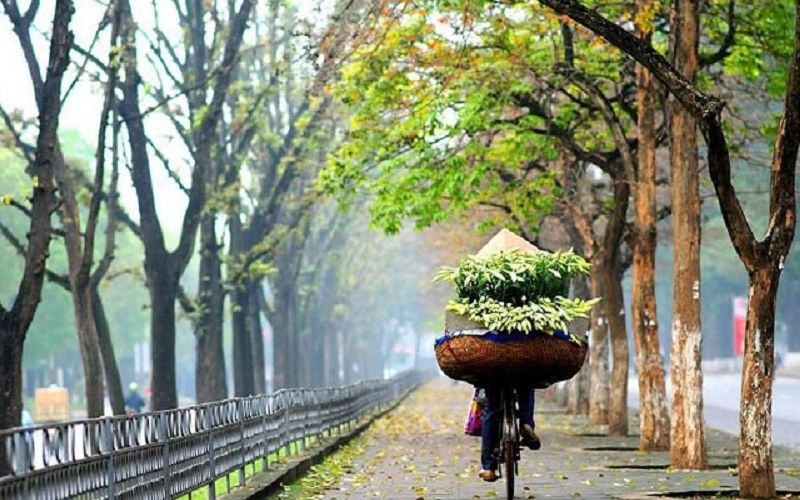 tho-thang-tam thơ tháng tám