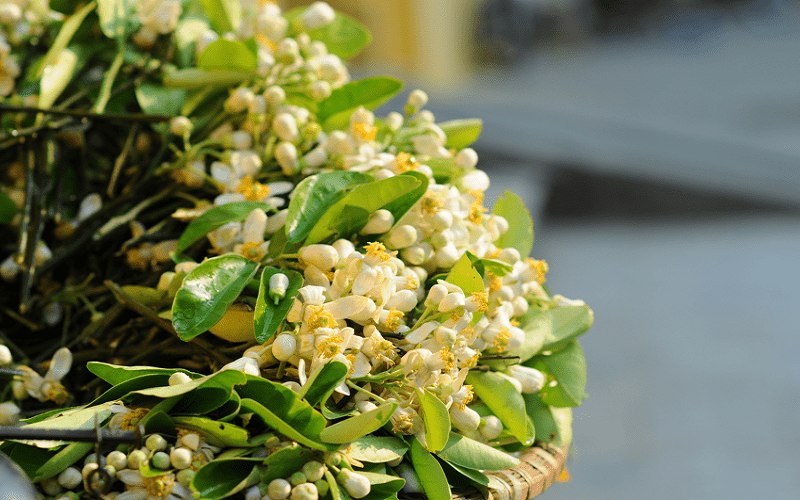 tho-tinh-thang-3 Thơ tình tháng 3