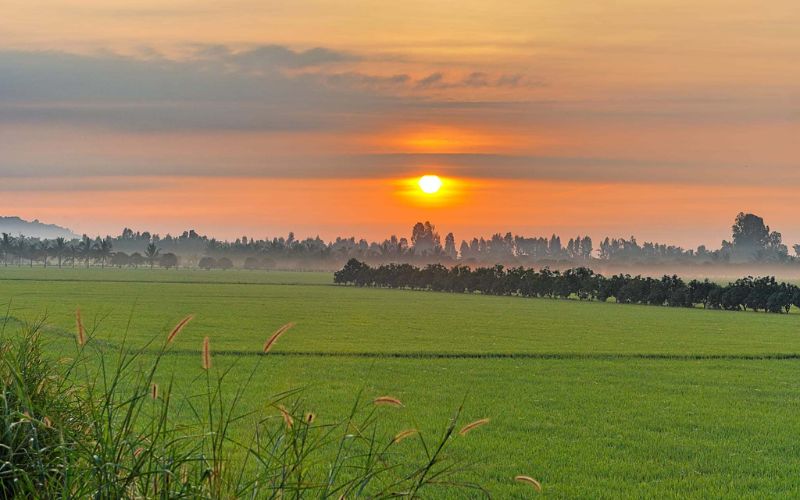 tho-ve-anh-binh-minh thơ về ánh bình minh