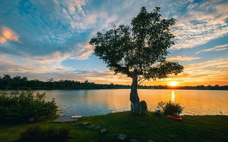 tho-ve-binh-minh thơ về bình minh