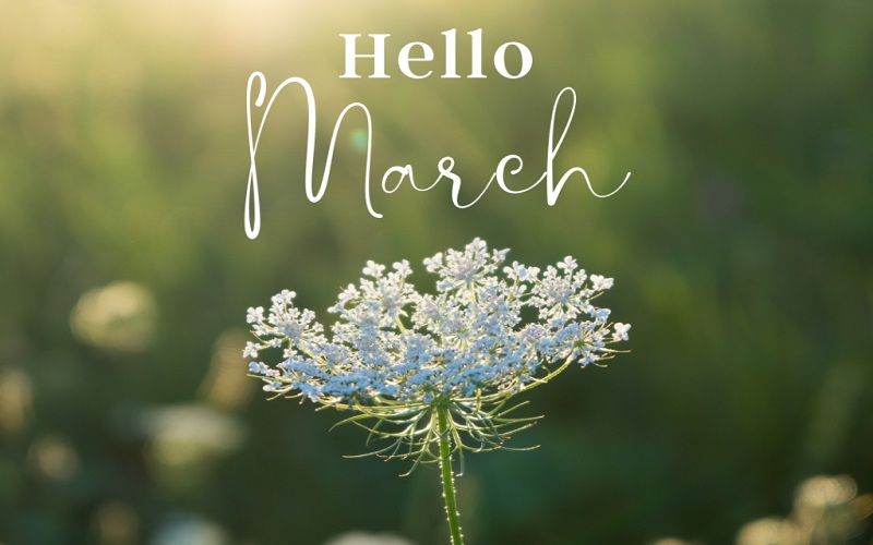 tho-ve-co-gai-thang-3 Thơ về cô gái tháng 3