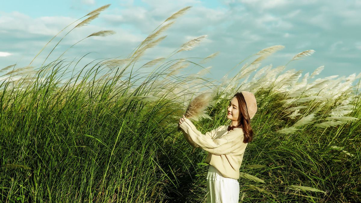 tho-ve-gio-1 thơ về gió