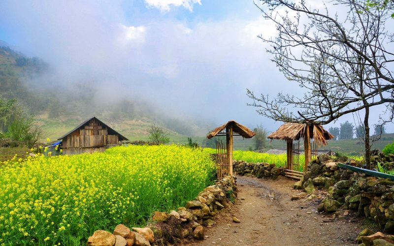 tho-ve-gio-xuan thơ về gió xuân