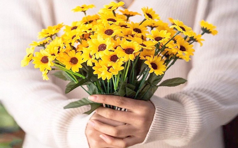 tho-ve-hoa-cuc-hay Thơ về hoa cúc hay