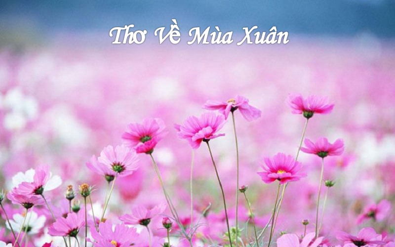 tho-ve-mua-xuan-1 thơ về mùa xuân