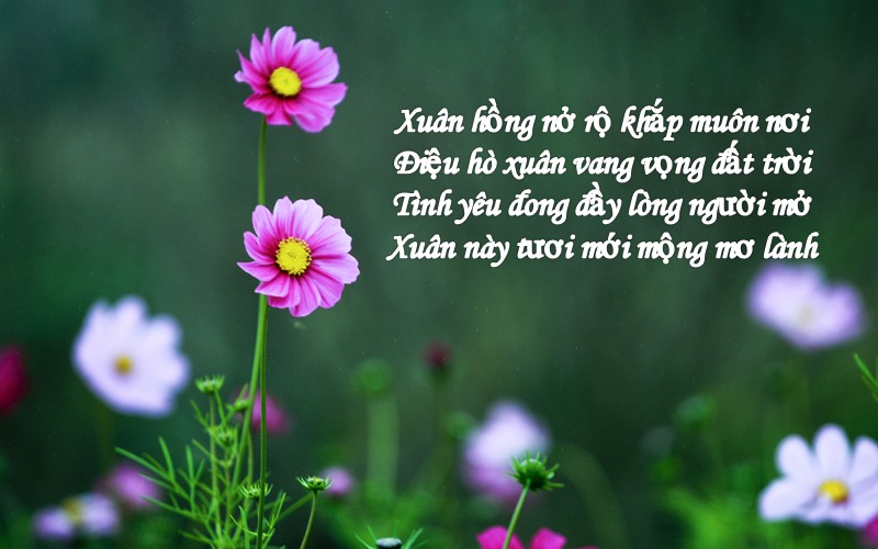 tho-ve-mua-xuan-ngan Thơ về mùa xuân ngắn