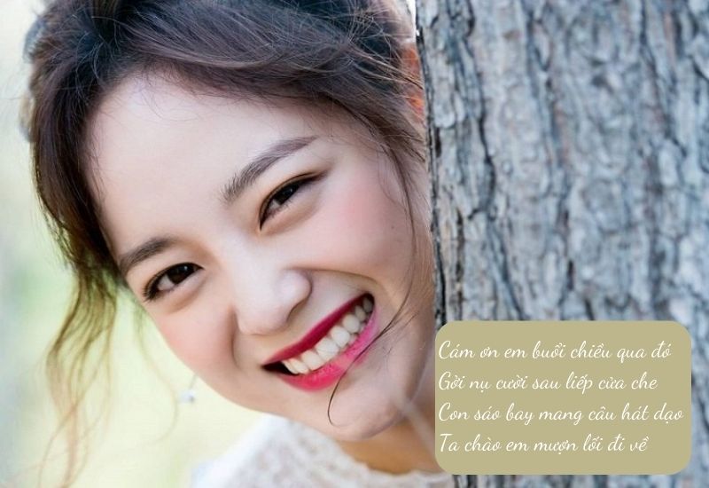 tho-ve-nu-cuoi-tha-thinh thơ về nụ cười thả thính