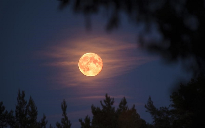 tho-ve-ruou-hai-huoc Thơ về rượu hài hước