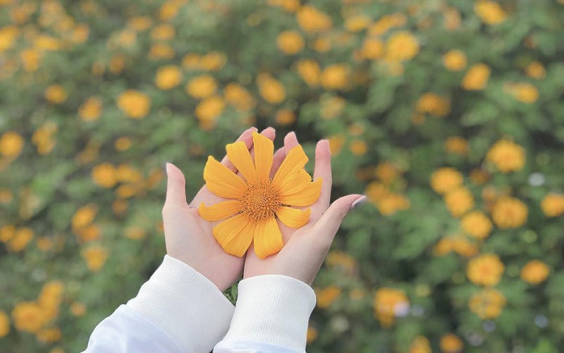 tho-ve-thang-10 Thơ về tháng 10