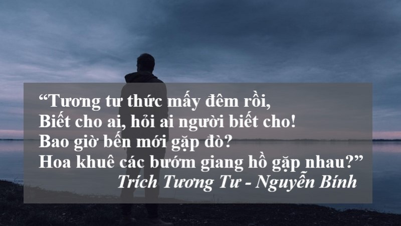 tho-viet-nam thơ việt nam