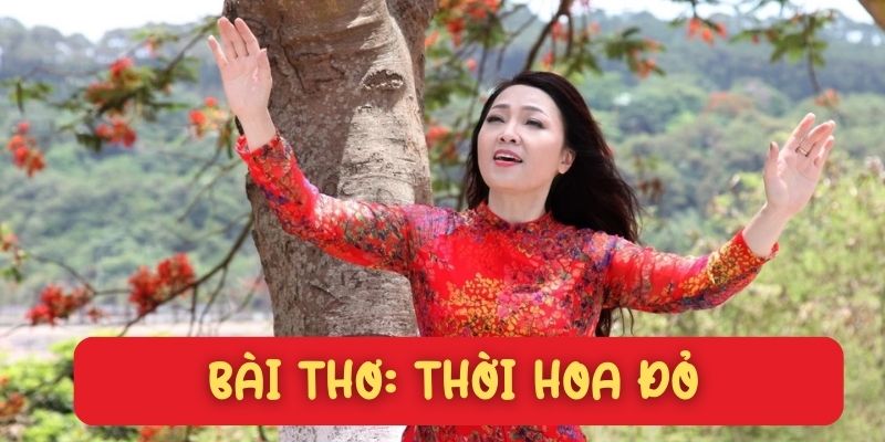 Thời hoa đỏ (Thanh Tùng – Doãn Tùng)
