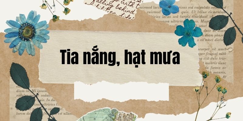 Bài thơ Tia nắng