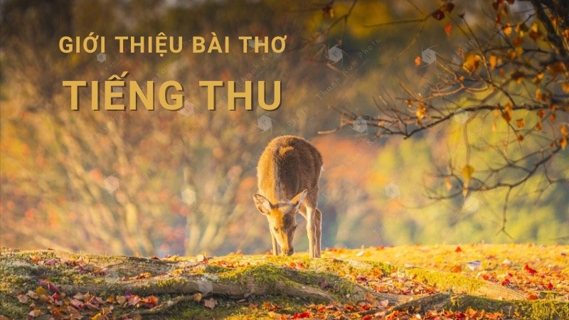 tieng-thu tiếng thu