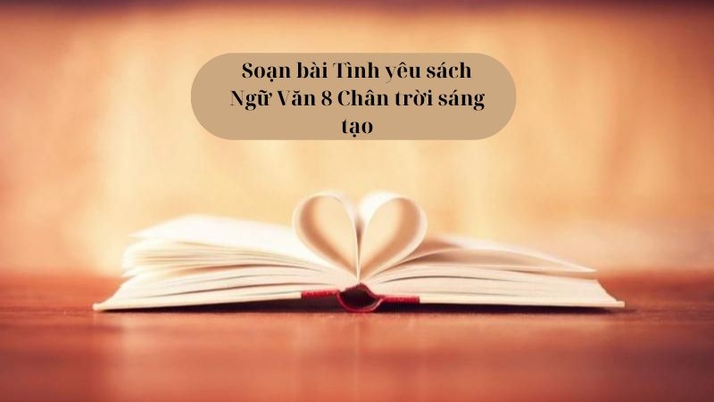 Soạn bài Tình yêu sách, trả lời đọc hiểu Ngữ văn 8