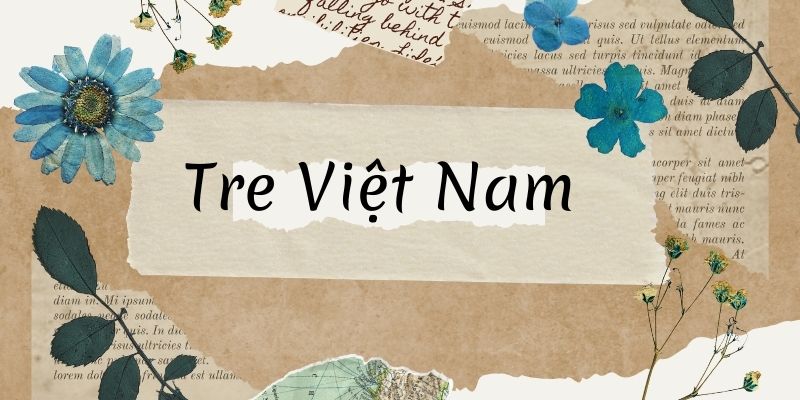 Tre Việt Nam (Nguyễn Duy)