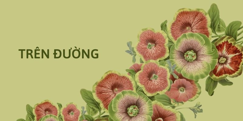 Bài thơ Trên đường (Hương Mai)