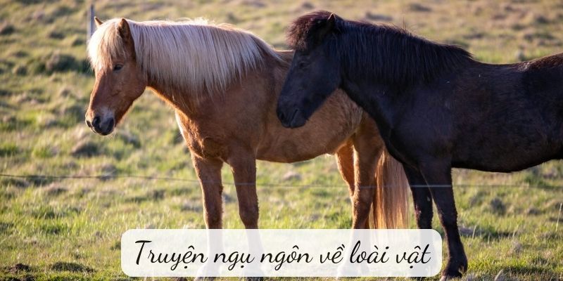 Truyện ngụ ngôn: Truyện ngụ ngôn về loài vật