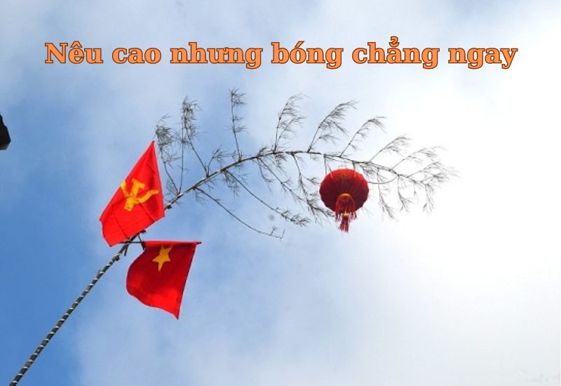 tuc-ngu-noi-ve-long-trung-thuc tục ngữ nói về lòng trung thực