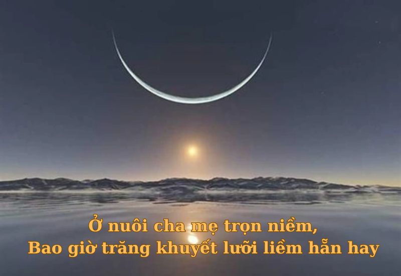 tuc-ngu-ve-long-hieu-thao tục ngữ về lòng hiếu thảo