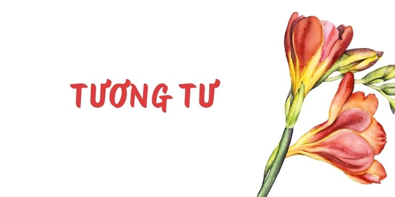 Tương tư – Ngữ văn lớp 11