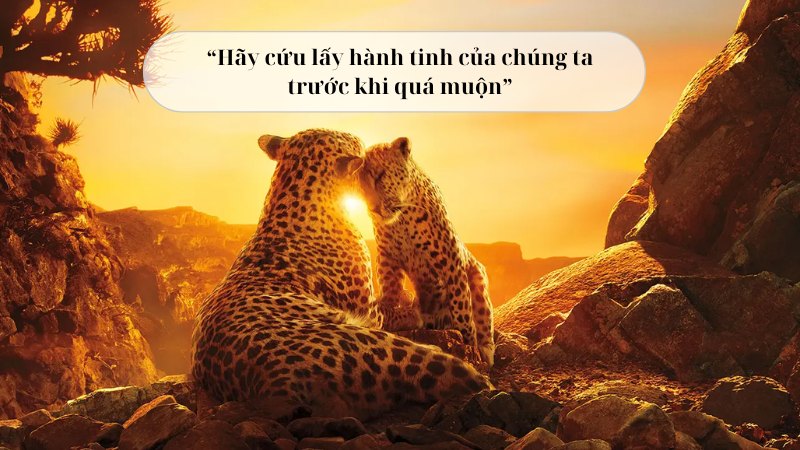 van-ban-choang-ngop-va-dau-don-nhung-canh-bao-tu-loat-phim-hanh-tinh-cua-chung-ta văn bản choáng ngợp và đau đớn những cảnh báo từ loạt phim hành tinh của chúng ta