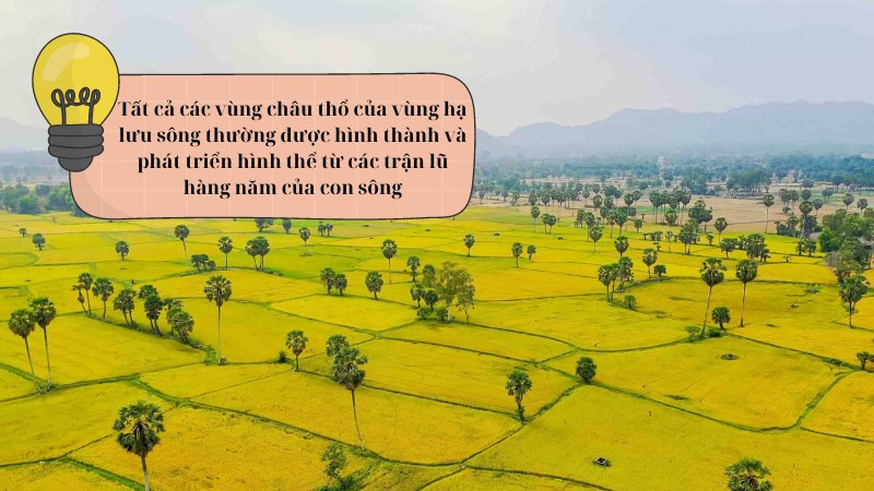 van-ban-mien-chau-tho-song-cuu-long-can-chuyen-doi-tu-song-chung-sang-chao-don-lu văn bản Miền châu thổ sông Cửu Long cần chuyển đổi từ sống chung sang chào đón lũ