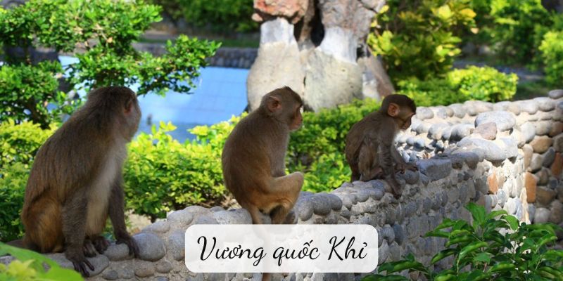 Vương quốc Khỉ: Những Bài Học Ngụ Ngôn Sâu Sắc và Thú Vị