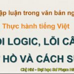 Lỗi Câu Mơ Hồ Và Lỗi Logic: Hướng Dẫn Nhận Diện Và Sửa Chữa Để Câu Văn Sáng Nghĩa