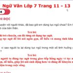 Khám Phá Kho Tàng Tục Ngữ Việt Nam: Trí Tuệ Dân Gian Trong Từng Câu Chữ