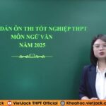 Hướng Dẫn Ôn Tập Phần Đọc Hiểu Văn Bản Tác Giả Hồ Chí Minh: Từ Lý Thuyết Đến Bài Tập Vận Dụng