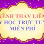 Hành Trình Ôn Tập Ngữ Văn 7 Học Kỳ 1: Tổng Hợp Kiến Thức Trọng Tâm Và Kỹ Năng Cần Nắm Vững