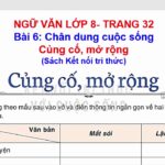 Khám Phá Thế Giới Văn Học Dân Gian: Từ Truyện Cổ Tích Đến Ca Dao, Tục Ngữ