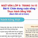 Khám Phá Sức Mạnh Của Trợ Từ Và Tình Yêu Thương Trong Hành Trình Tìm Kiếm Của Cậu Bé Phi Châu