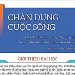 Khám Phá Thế Giới Văn Học: Từ Cốt Truyện, Trợ Từ Đến Cảm Nhận Vẻ Đẹp Cuộc Sống