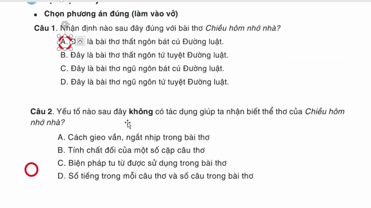 Minh họa hình ảnh "gió cuốn chim bay mỏi" - biểu tượng cho sự mệt mỏi, lạc lõng.